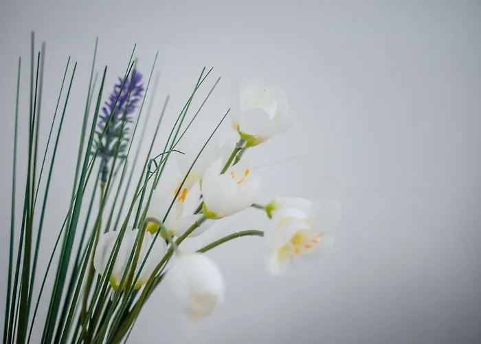 Bellissima 2 Minutes Away From The * Nesebar