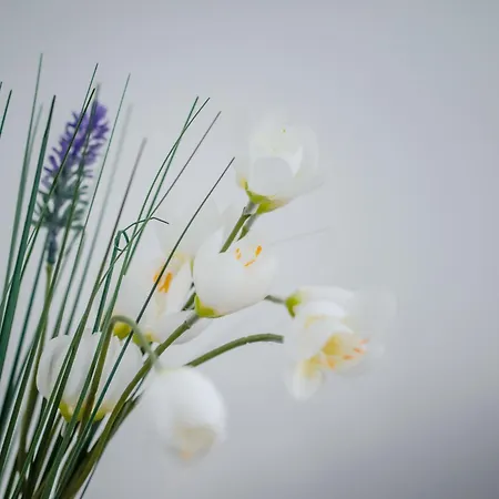 Bellissima 2 Minutes Away From The * נסבר